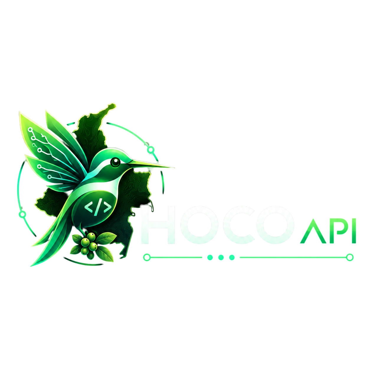 HOCO API